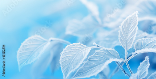light blue leaves covered in a layer of white frost. The background is a gradient of light blue and white, creating a cool and serene mood. Winter background.