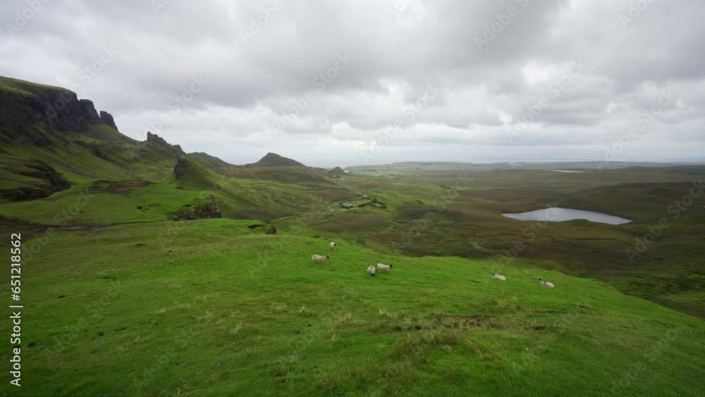 Scottish sheep with black head and legs in the high mountains of the Isle of Skye, UK Scottish sheep with black head and legs in the high mountains of the Isle of Skye, UK
