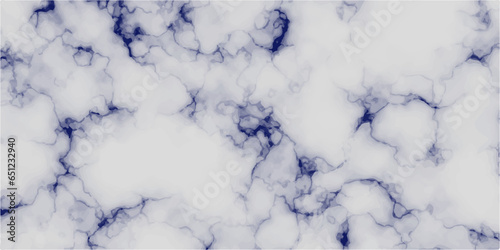 White and Blue Marble luxury realistic texture for banner  invitation  headers print ads  packing design template.Marbeling texture with vector illustration.isolated on white background