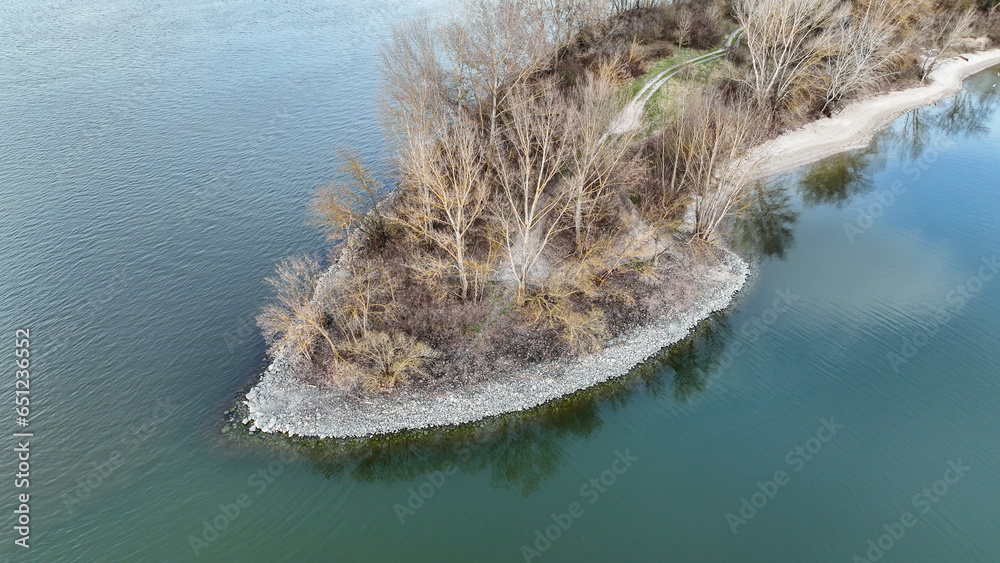 fish in the river
