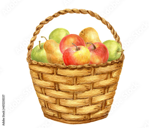 Basket with apple and pear fruits. Thanksgiving or Harvest Day card design. Watercolor drawing.