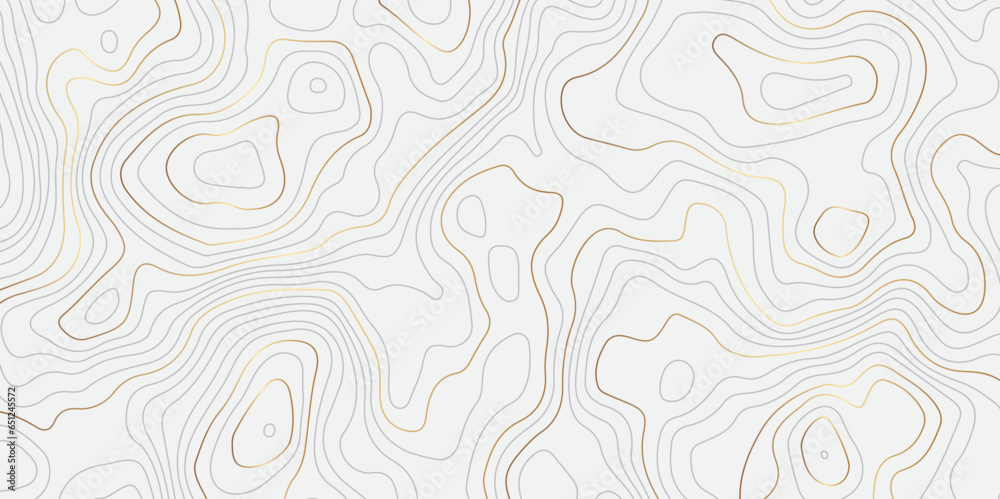 Abstract topographic contours map background. Topography white and golden wave lines vector background. Topographic map Patterns, Topographic map and place for texture. Wavy curve lines banner design.