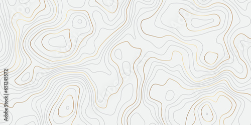 Abstract topographic contours map background. Topography white and golden wave lines vector background. Topographic map Patterns, Topographic map and place for texture. Wavy curve lines banner design.