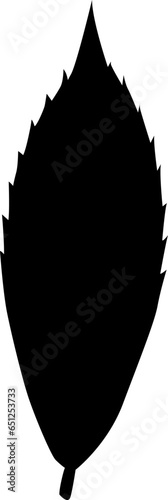 Tree leaf, manually traced and highly detailed vector silhouette