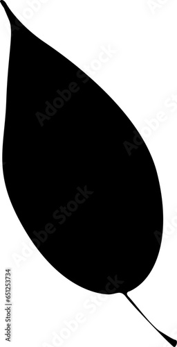 Tree leaf, manually traced and highly detailed vector silhouette