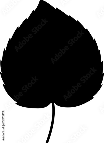 Linden tree leaf, manually traced and highly detailed vector silhouette