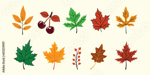 Collection of seasonal plants and leaves in an autumnal style. Flowers, leaves, and plants drawn by hand. Natural components with color for seasonal backgrounds.
