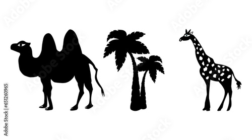 Camel,  palm trees and giraffe set on white background. Collection for business. Vector illustration