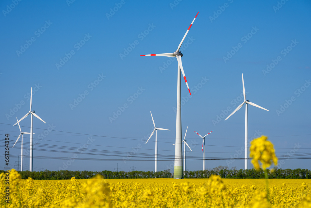 Wind turbines and power lines in a field of flowering rapeseed seen in Germany Wind turbines and power lines in a field of flowering rapeseed seen in Germany