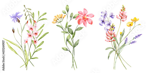 Border banner with watercolor wild flowers. Floral decoration. Hand drawing. 