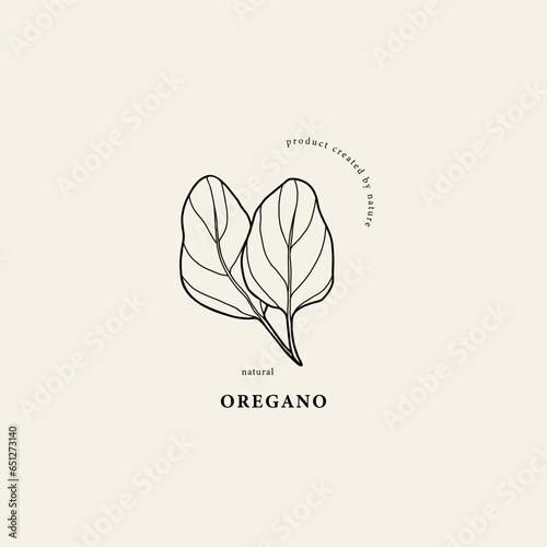 Line art oregano branch illustration