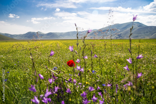 Castelluccio di Norcia