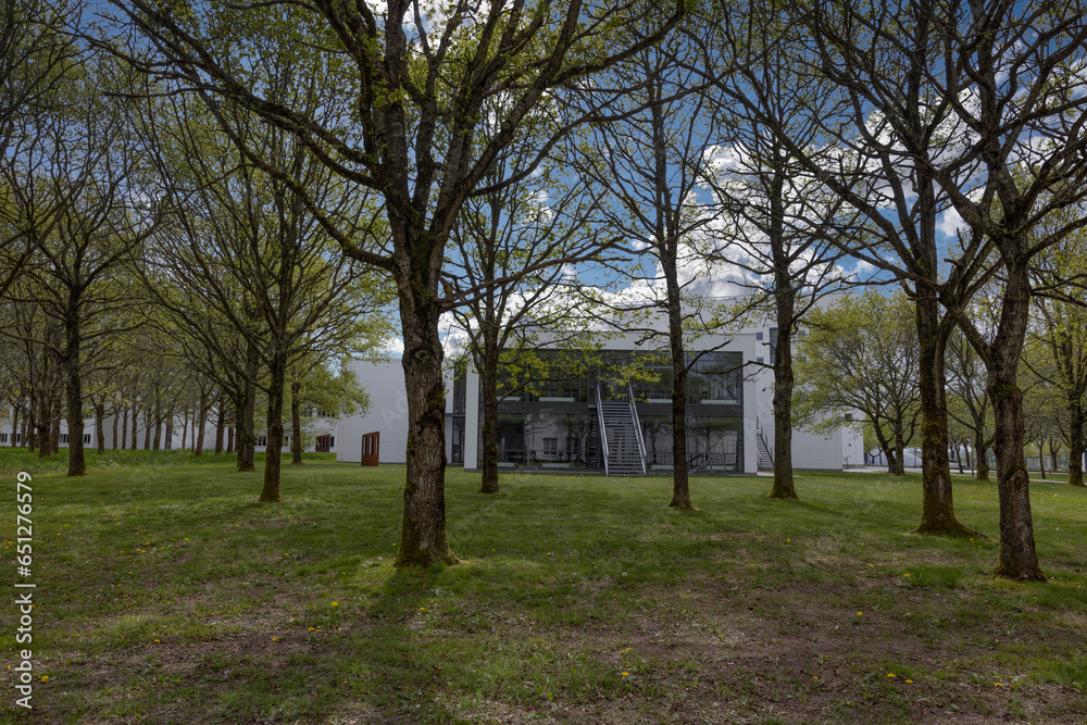 Walking through the Herning sculpture park and educational area