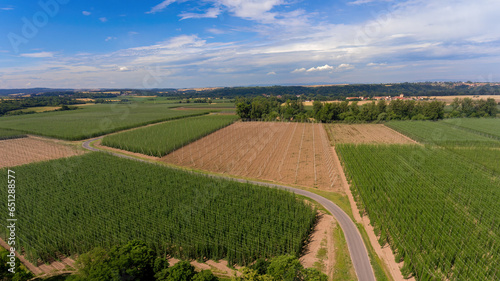 Aerial view of the landscape with hop farms in the vicinity of Stekn  k Castle near city   atec - UNESCO World Heritage Site from September 2023.