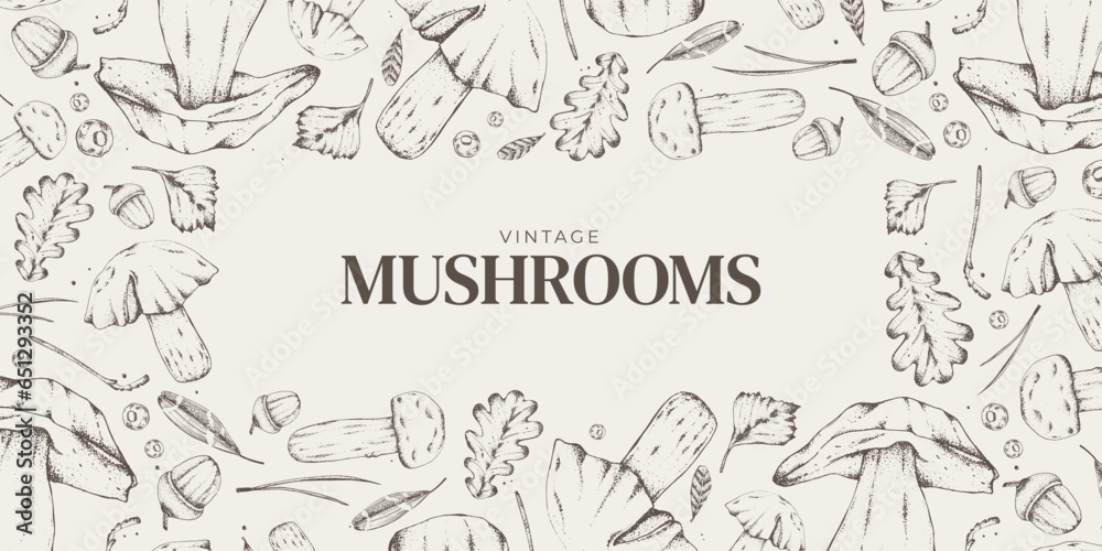 Vector illustration. Sketches of forest plants. Graphic horizontal banner made of porcini, branches, leaves. Mushrooms. For menu design, labels, product packaging