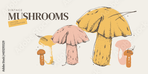 Abstract vector illustration of edible mushrooms. Graphic horizontal banner of porcini mushrooms in the form of spots. Flat style. For menu design, covers, backgrounds, packaging