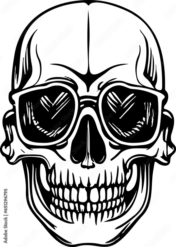 Drawing of human skull. Drawing of human skull.