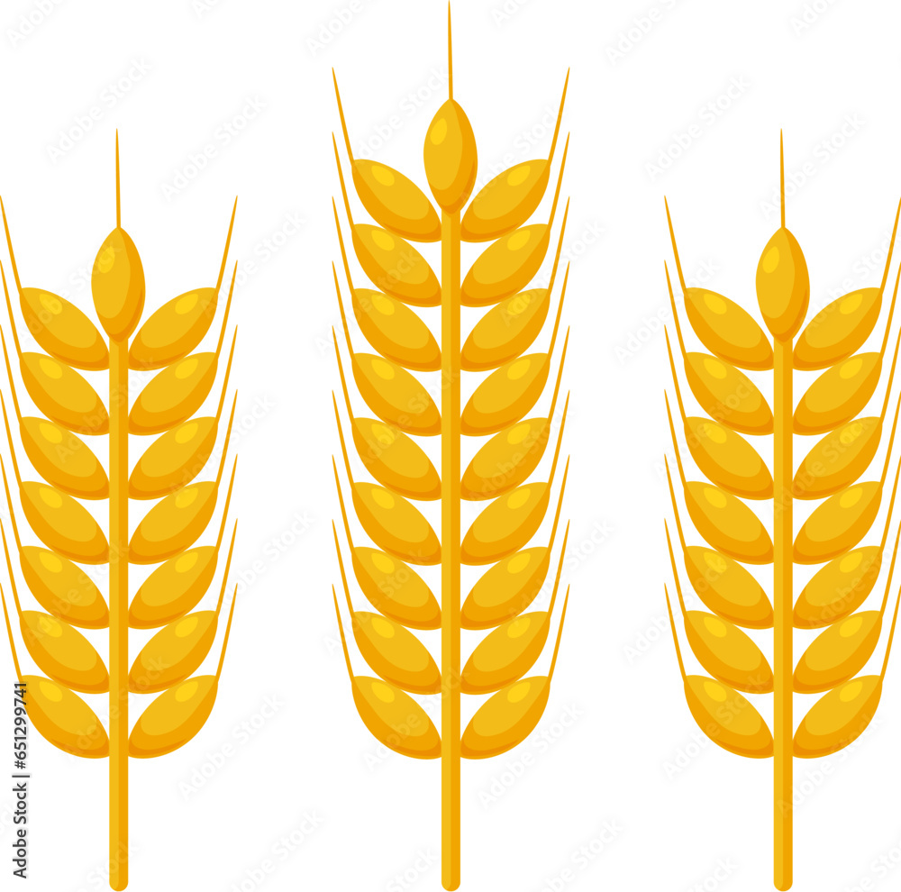 vector bunch of wheat or rye ears vector bunch of wheat or rye ears