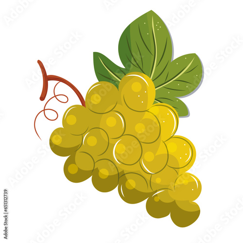 Raisin, fruit automne, saison fruits et légumes, illustration vectorielle, cuisine