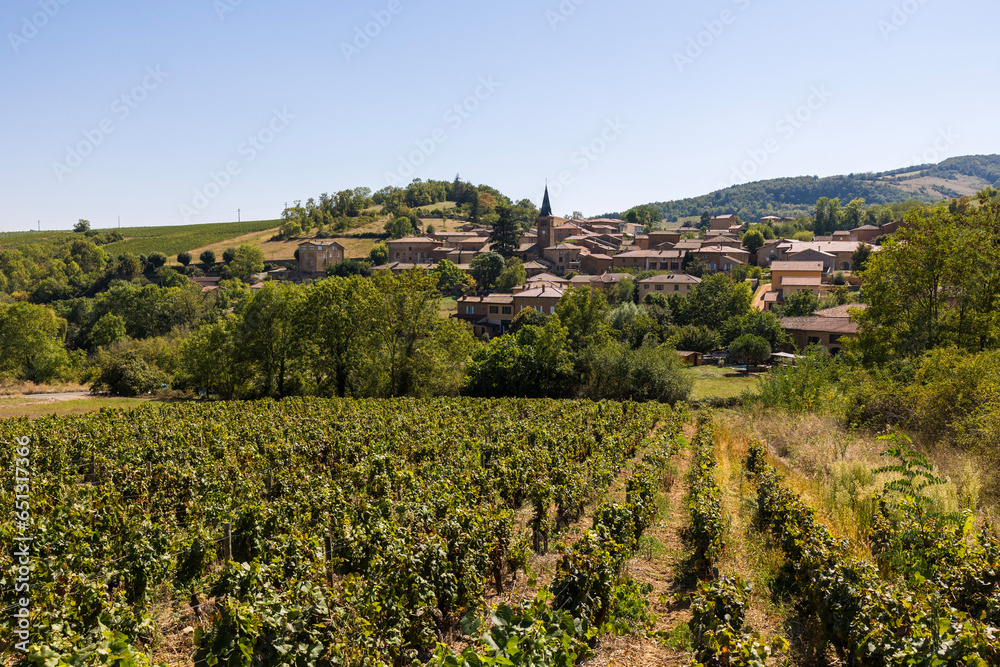 Village de Ville-sur-Jarnioux depuis les vignobles du Beaujolais