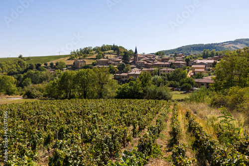 Village de Ville-sur-Jarnioux depuis les vignobles du Beaujolais