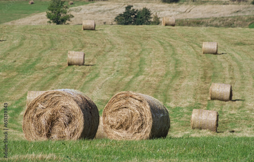 bales of hay on a farm field III bales of hay on a farm field III