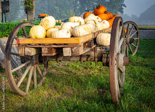 Direktvermaktung in der Landwirtschaft, bunte Kürbisse auf alten Ackerwagen ansprechend arrangiert. photo