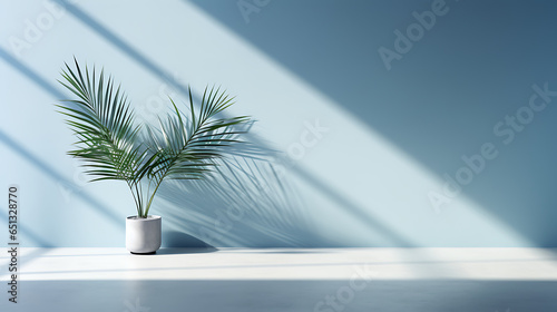 A light blue wall in an empty room with a palm leaf plant in it and sunlight coming in from a window. - kitchen still life and minimalistic. - romantic scenery © Lisanne