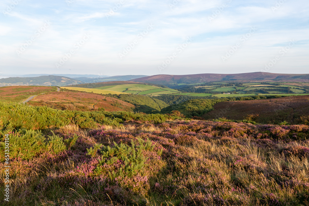 Landscape photo of Porlock Common at the top of Porlock Hill in Exmoor National Park