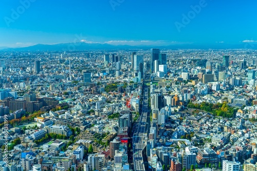 富士山と東京 六本木から望む渋谷方面 