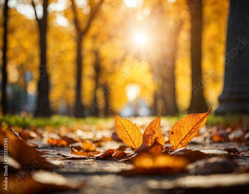 autumn foliage vibrant autumn landscape in the warm fall sun light. golden autumn concept