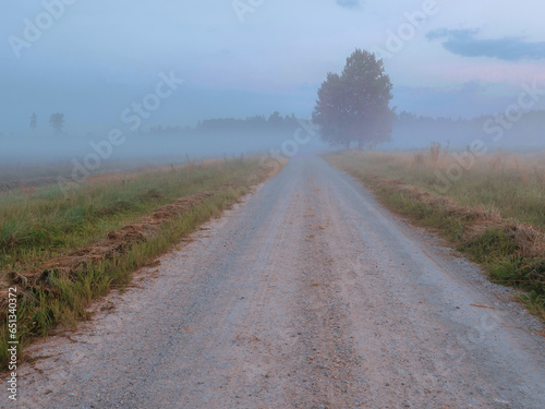 Small country road in a fog before sunrise, trees in the background. Calm and relaxed mood. Rural area in Latvia with agriculture land. Nobody. Serene mood.
