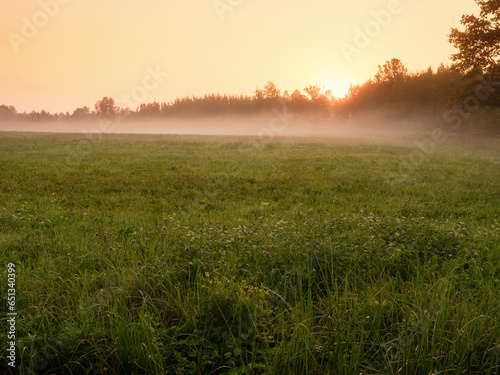 Warm fog over a cut grass filed before sunrise. Rural farmland. Stunning nature scene. Calm and peaceful mood. Relaxing view on a meadow in a mist.