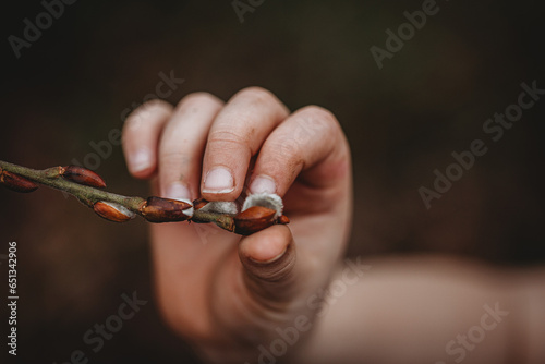hand holding a branch of willow