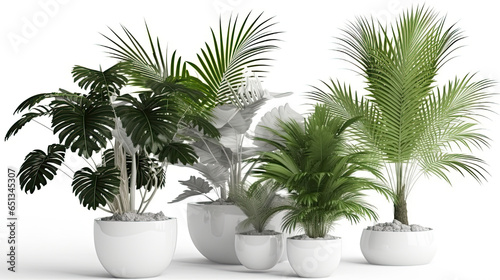 Illustration of a row of tropical houseplants in ceramic containers generative AI 
