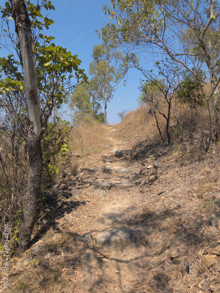 Australian bush in North Queensland Townsville Australian bush in North Queensland Townsville