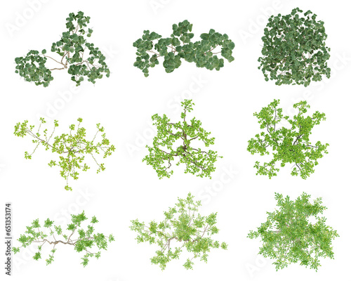 Set of green outside tree on top view isolated on transparent background, 2d plants, 3d render illustration.
