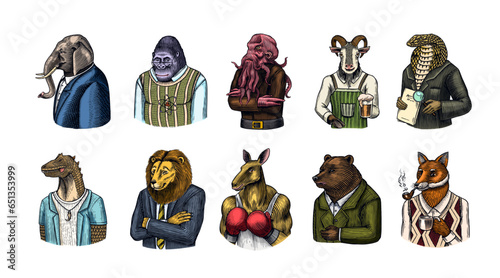 Grizzly Bear, Octopus, t-rex dinosaur, Elephant, Indian cobra snake, Fox with a smoking pipe, lion, Monkey scientist Goat with beer. Gentleman Fashion animal character in a suit. Hand drawn sketch.