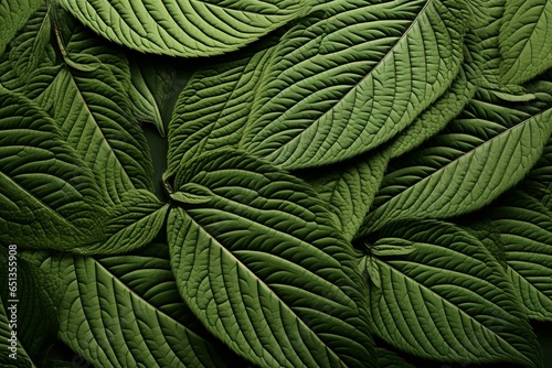 Design on the reverse side of kratom foliage. Generative AI