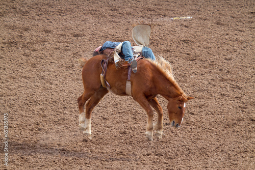 Rodeo Bucking Bronco