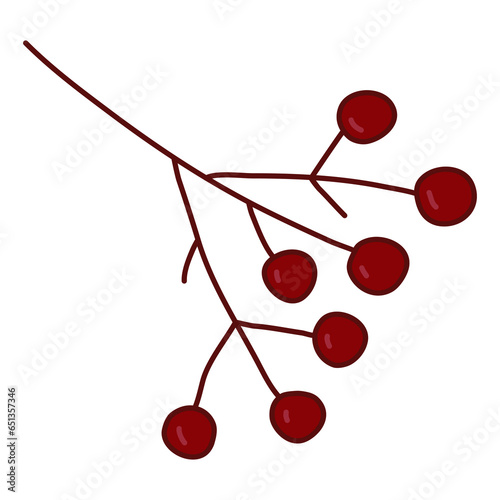 Branch with red rowan berries, element for winter holidays decoration, vector