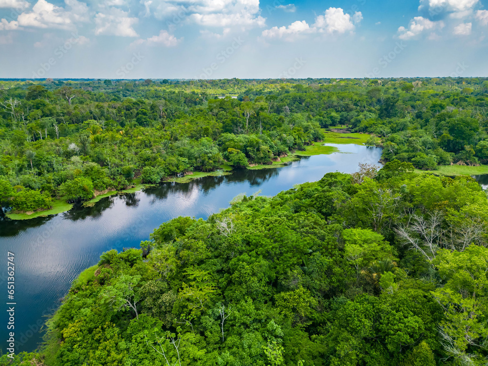 Scenic aerial sunset view of rainforest river in Amazonas Brazil - obrazy, fototapety, plakaty 