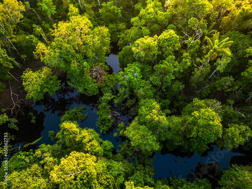 Obraz na płótnie Aerial view of rainforest river in Amazonas Brazil w salonie