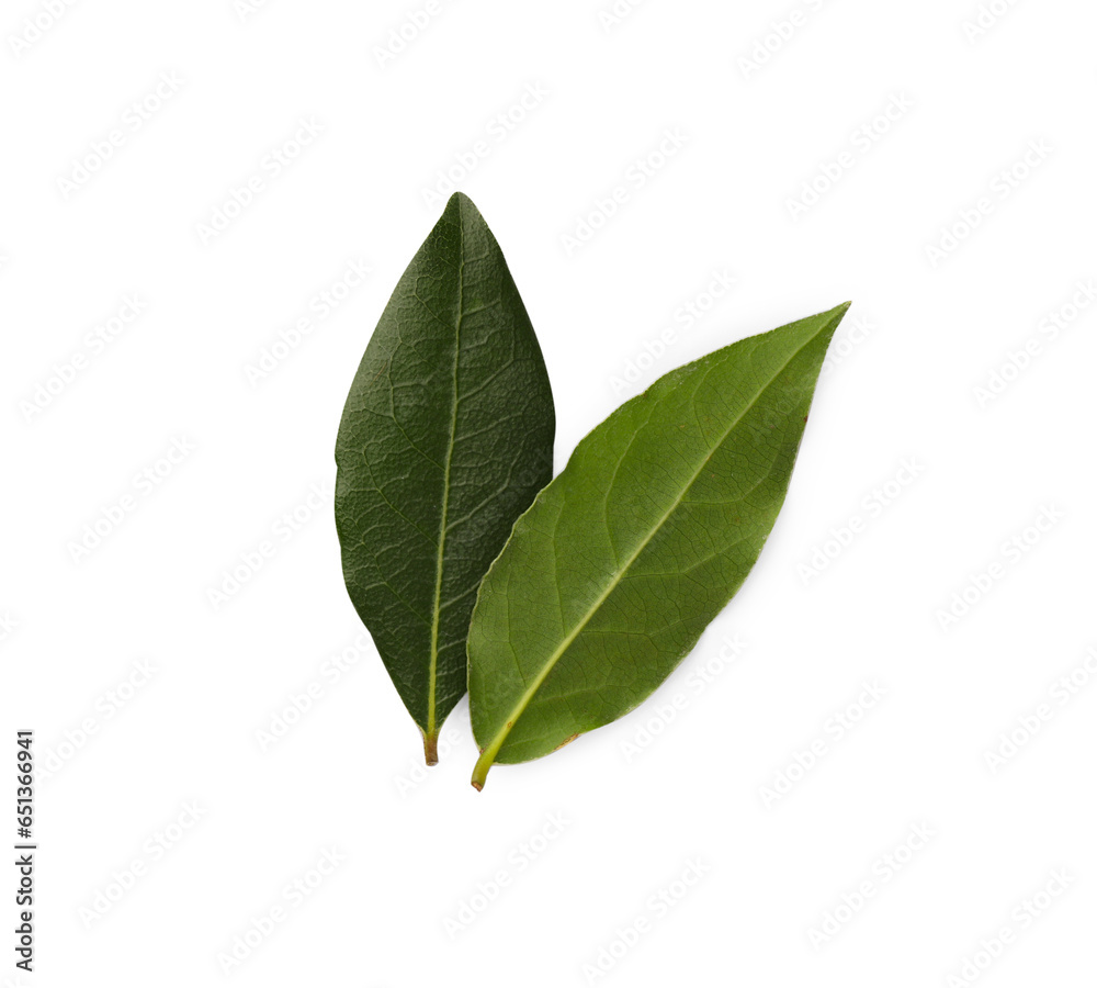 Aromatic fresh bay leaves isolated on white, top view Aromatic fresh bay leaves isolated on white, top view