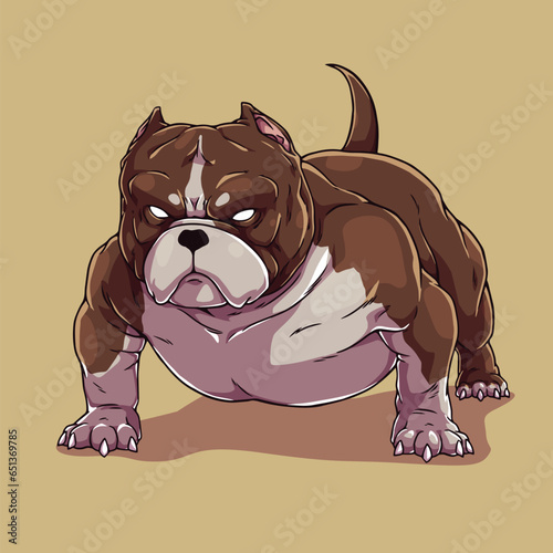 American bully pitbull dog bulldog