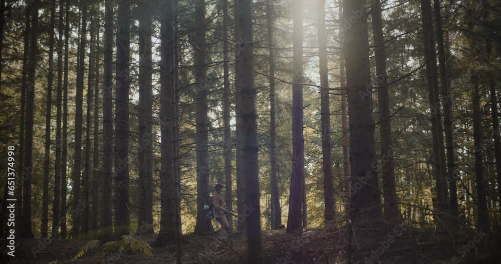 Female explorer walking amidst trees in forest Female explorer walking amidst trees in forest