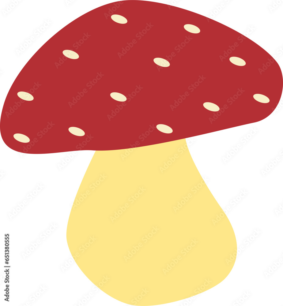 fly agaric mushroom