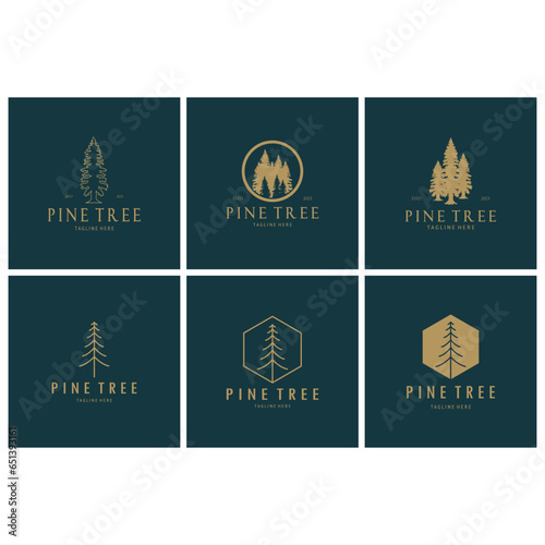 simple pine or fir tree logo,evergreen.for pine forest,adventurers,camping,nature,badges and business.vector