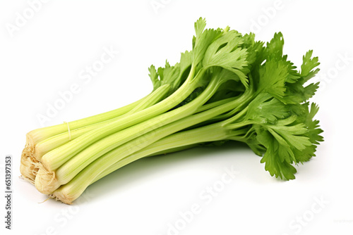 Celery isolated on white background. fresh celery on white background