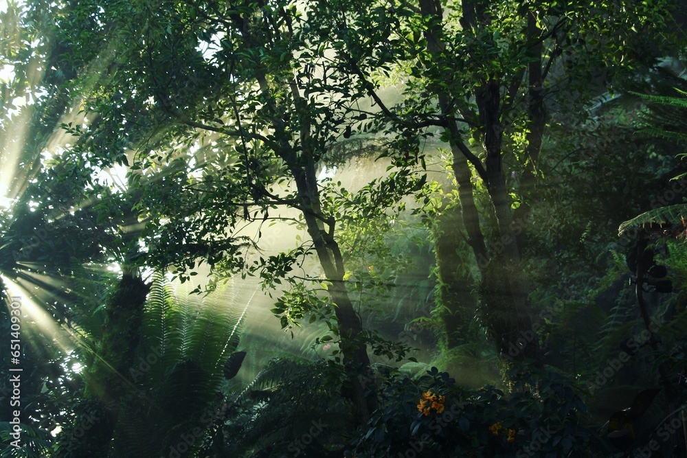 sun rays in the forest sun rays in the forest